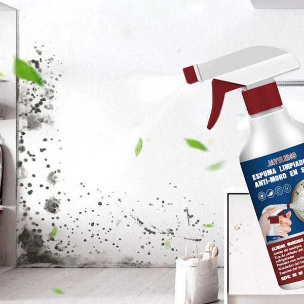 Leisel™ Spray Removedor de Hongos/Moho||🔥Oferta 2x1🔥