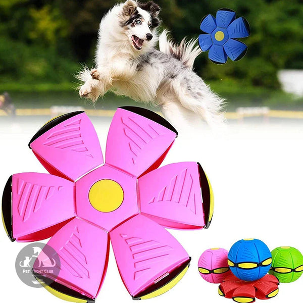 Saltapatitas® juguete para mascota.